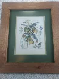 Arthur Singer Signed Frame Bird Wall Art Picture Print Vtg ...