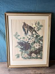 John James Audubon “Carolina Pigeon or Turtle Dove” Plate 17 ...