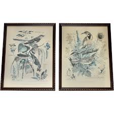 Framed Pair of Vintage 1950's Botanical & Bird Prints by ...