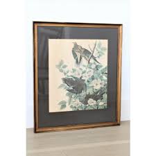 Framed John James Audubon Chinoiserie Large Lithograph ...