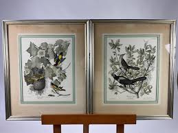 815 Framed Audubon Prints AS-IS | EstateSales.org