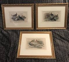 J. Bishop J. Stewart 3 Framed Art Prints Birds Pheasant Turkey Peafowl Curassow | eBay