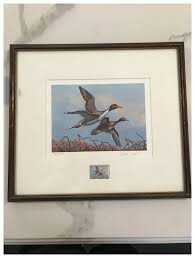 Framed Pintails Signed Print by Patrick Sawyer with Matching Duck . For Sale at Ruby Lane