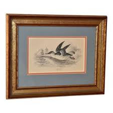 19th Century W.H.Lizars Framed Engraving | Chairish