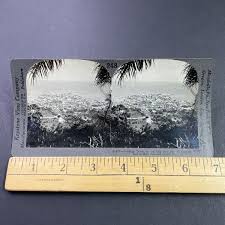 Antique 1920s Panama City View Man Looking Down Stereoview ...
