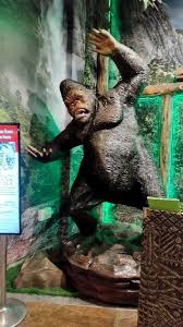 Celebrating birthday of @mazumdernikita at princep Ghat Kolkata on a boat over Ganga river. ❤️ #kolkata #princepghat #birthday #celebration #boat