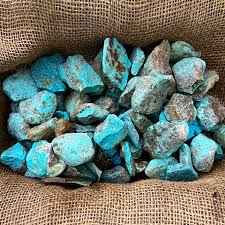Turquoise Kingman, Arizona Rough - High End (1/2 lb) – Twin ...
