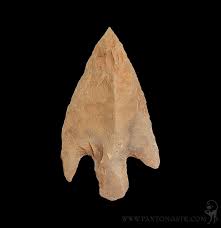 Neolithic Bird Points For Sale | Paxton Gate