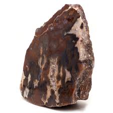 Cathedral Agate - The Fossil Cartel