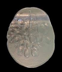 Vintage KOSTA BODA Grape Serving Plate Tray ANN WARFF ...