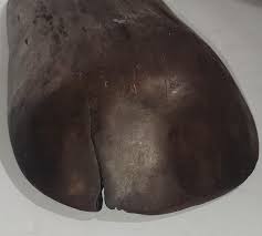 19Thc Hand Carved Dough Bowl From New England For Sale at 1stDibs