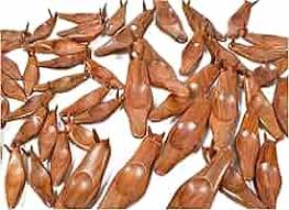 Amazon.com: gemsindia Special Slug Sphere stand sheesham wood hand made creative art & home décor stands size 2,3 & 4 In (#3 Inches Stand) : Home & Kitchen