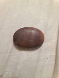 En el sur del estado de Nueva York : r/whatsthisrock