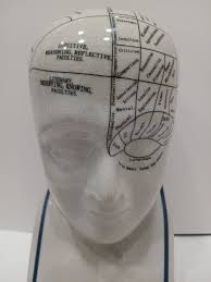 Porcelain L. N. Fowler Phrenology Bust Head Scientific Psychology 11.5" Statue | eBay