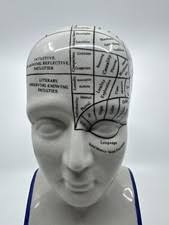 Phrenology Head Fowler for sale | eBay