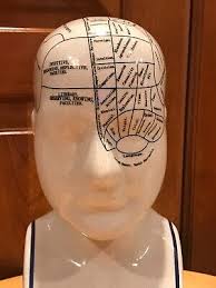 Phrenology Head Medical Psychology 9" L.N. Fowler,? Old Has small hole on bottom | eBay