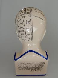 Phrenology Head Statue Map of Brain Porcelain Sculpture Victorian Reproduction | eBay