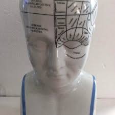 Phrenology Porcelain Head Bust 13 Inch Medical Doctor Office Home Gift - Etsy New Zealand