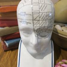 Cabeza de frenología vintage de gran tamaño de L. N. Fowler - Coleccionable - Etsy México