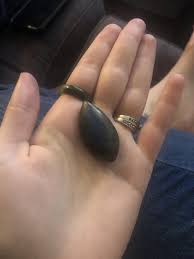 Why is my kitten obsessed with this stone? : r/Crystals