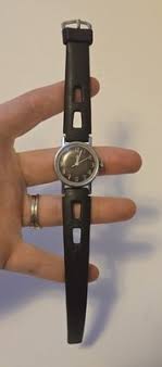 Vintage 1970's Mercury Timex Brown Dial Ladies Watch With ...