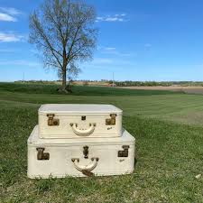 Mid Century Retro Luggage Set, Vintage Suitcase Set of 2 Mcm ...