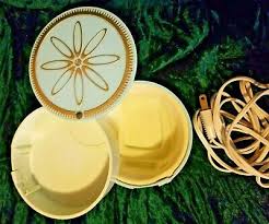 Vintage Lady Remington Electric Shaver Razor Model BL Arms ...