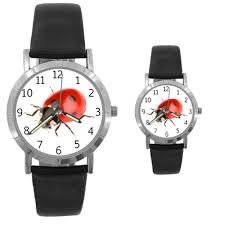 Ladybug Watchs at Animalden