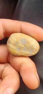 Rochester Rocks - Minnesota | Facebook