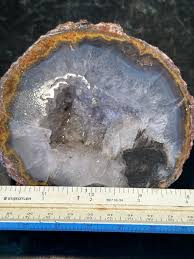 LG Mexican Coconut Geode Half - Etsy