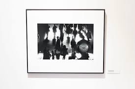 Photos by KameraHaus by Craig Williams (@kamerahausnoho ...