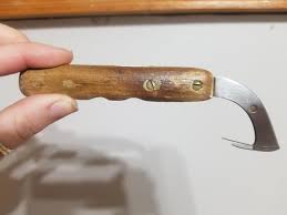 Sewing or food related? : r/Whatisthis