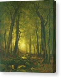 Evening In The Woods Canvas Print by Mountain Dreams - Fine ...