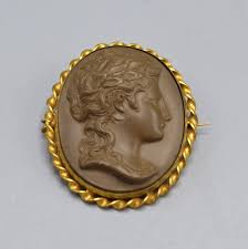 Antique Celluloid Cameo Brooch is Twisted Gold Tone Frame - Etsy