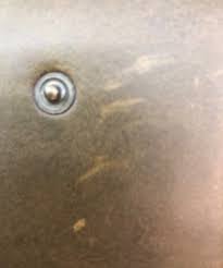 中古・古着通販】CONCIATA AL VEGETALE (コンチャータ アル ...