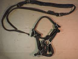 Antique 1800's Leather Horse Bridle with Nickle Plated ...