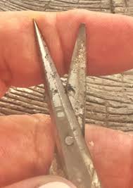 Late 19th Century Victorian, Antique Ornate Embroidery ...