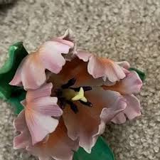 Lenox | Art | Lenox Parrot Tulip | Poshmark