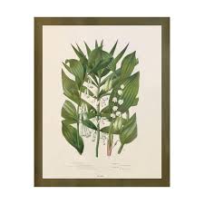 Wildflower Study (Lily of the Valley) – Shop At Sullivan