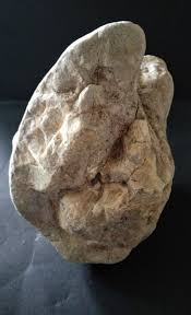 Prehistoric Paleo-American, fossilized bone, rock art ...