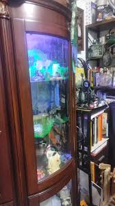 Amelia Snow (@lightsaber.snowflakes) | TikTok