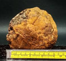 1377Gr Natural Septarium Dragon's Stone Septarian Crystal ...