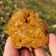 Arkansas Crowley Ridge Agate-jasper, Stromatolite Fossil W ...