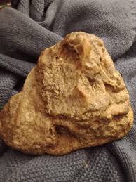 Found this on a hike. : r/whatsthisrock