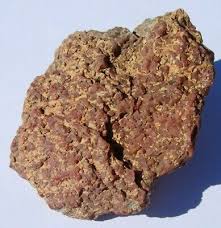 54.1 grams as found Dinosaur Bone Fossil Utah and Colorado ...