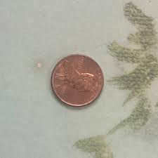 Mid Century Framed Old World Print De Corsi Entrata Del Lago Vintage Art 32x19 - Etsy