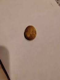 Placer gold that was melted down 8.6 grams total weight ...