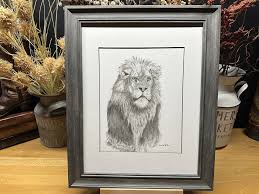 Drawing of a Male Lion Africa African Wildlife Nature Pencil ...