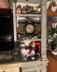 Ramose murex shell. $13.99 at my shop in Roy. 5523 S 1900 W ...