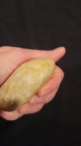 Hand Polished Lake Erie Petoskey Stone - Etsy